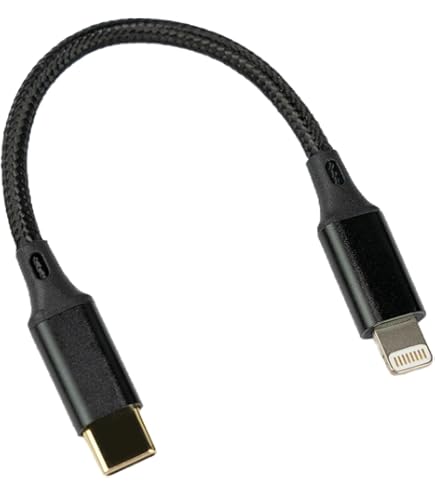 Amazon.com: SHANLING L3 USB-C to L OTG DAC Adapter Cable, for